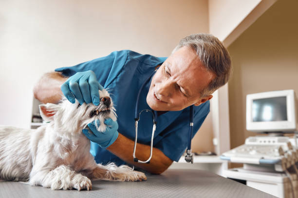 Best Walk-In Emergency Dentist in Water Valley, MS